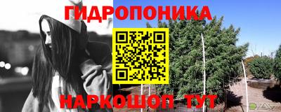MDMA Партизанск