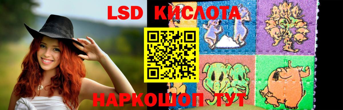 Тольятти    как войти  Вход с VPN  Лсд 25 экстази ecstasy 