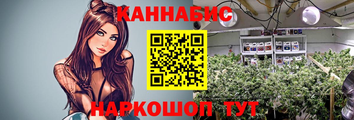 Каннабис OG Kush  Вход с VPN  Тольятти  Бошки Шишки Bruce Banner  МАРИХУАНА сатива 